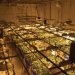 Cannabis Industry Needs HVACR Contractor Partners